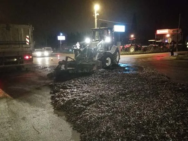 Bursa'da tonlarca hamsi yola saçıldı - 7