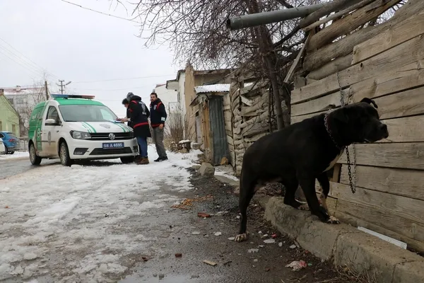 safkan-kangal-kopeginin-merkezi-sivasta-pitbull-ile-sokaga-cikan-genc-adama-yaklasik-14-bin-982-tl-para-cezasi-kesildi-1641296331263.jpg Safkan Kangal köpeğinin merkezi Sivas'ta pitbull ile sokağa çıkan genç adama yaklaşık 14 bin 982 TL para cezası kesildi-2