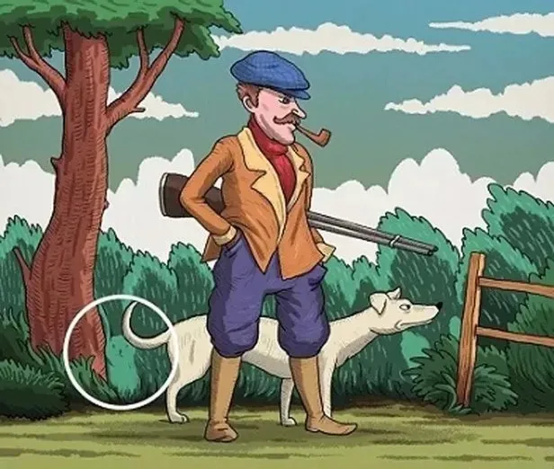 iq-testi-resimdeki-gizli-tavsani-sadece-dahi-olanlar-6-saniyede-bulabilir-1711434788191.jpeg IQ testi olay yarattı: Resimdeki gizli tavşanı sadece dahi olanlar 6 saniyede bulabilir-5