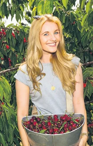 İhracatta rekorun adı kiraz