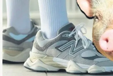 Üç büyük ayakkabıcıya domuz cezası!