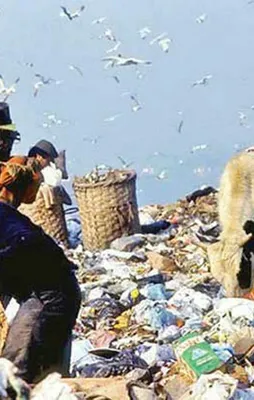 Çöp dağlarını unutma!