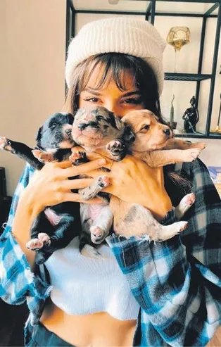 Hande Erçel aşkı Murat Dalkılıç'ın köpeğinin doğum yapmasıyla sevince boğuldu