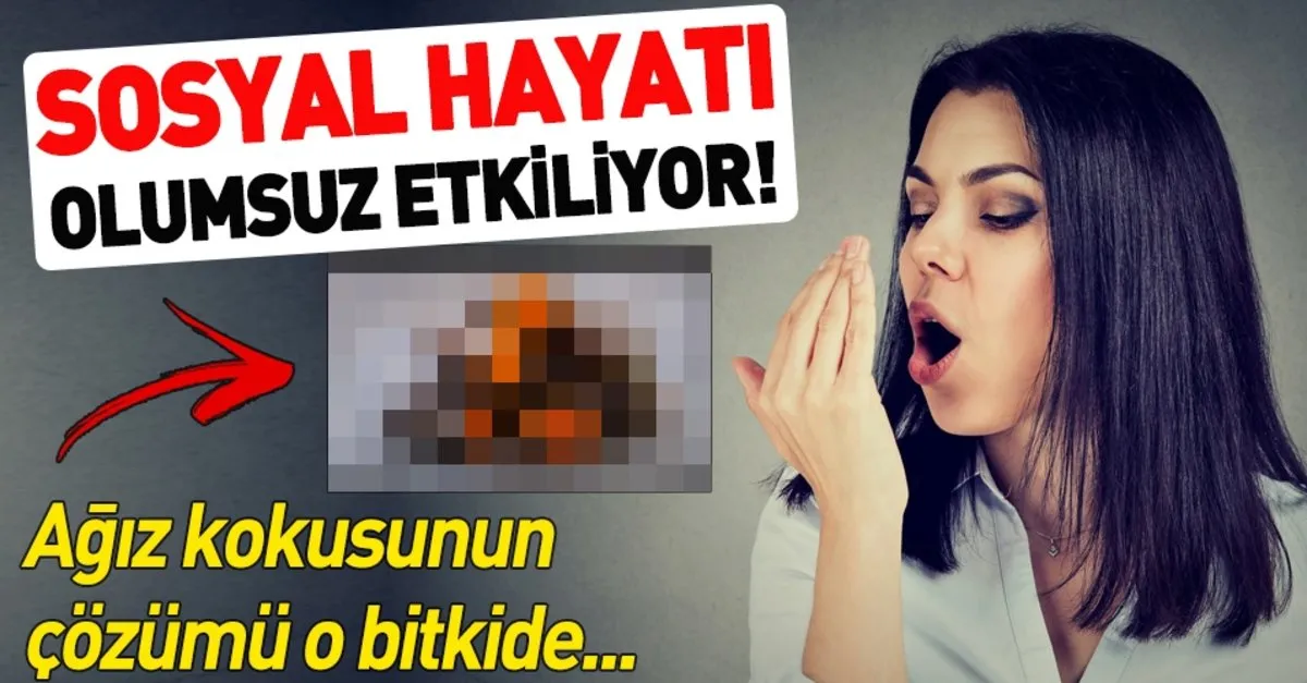 agiz kokusunun cozumu zerdecal takvim
