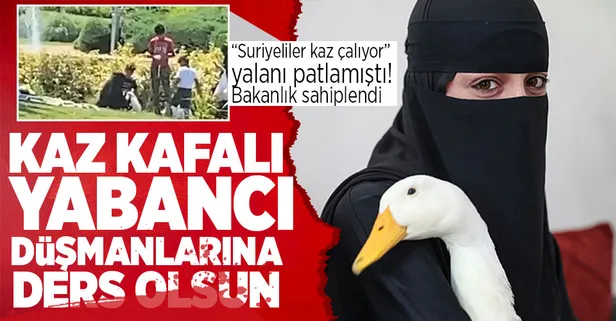 “Suriyeli aile kaz çalıyor” provokasyonu yalan çıkmıştı! Bakanlık devreye girdi, hayvanlara orada bakılacak