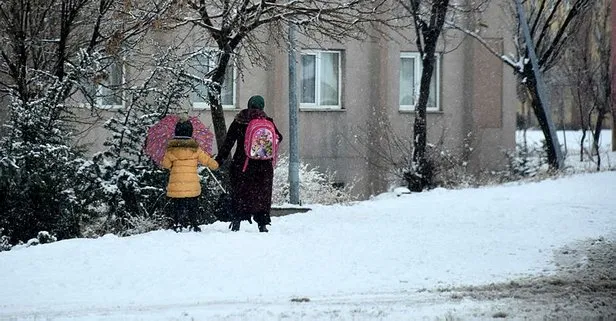 Van, Çankırı, Kastamonu, Kırşehir, Afyon’da yarın okullar tatil mi?