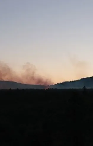 Son dakika: İstanbul Aydos ormanında yangın