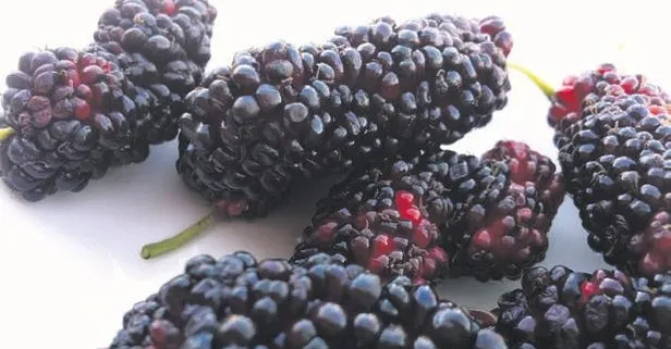 Tam bir şifa deposu! İşte Karadut'un faydaları