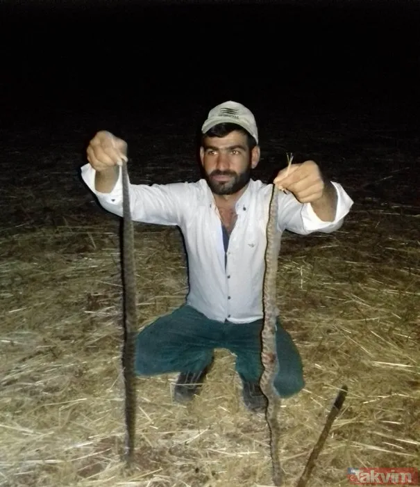 Diyarbakırda bir köy diken üstünde!