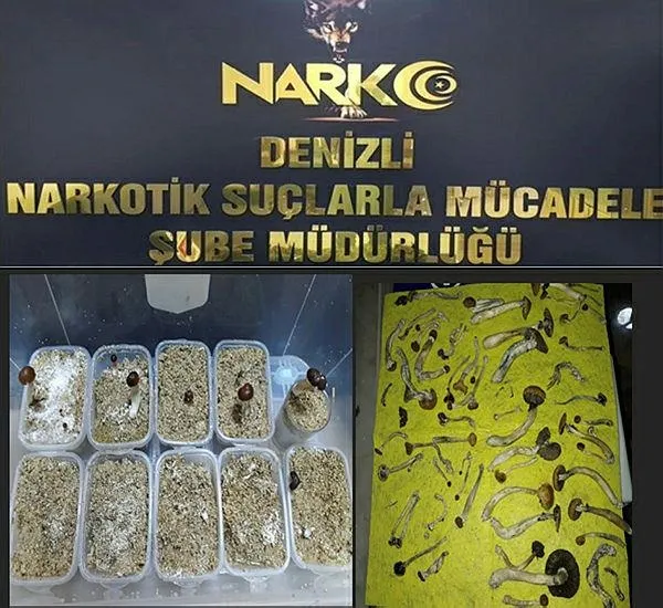 denizlide-uyusturucu-operasyonunda-19-tutuklama-1575311130398.jpeg Denizli'de uyuşturucu operasyonunda 19 tutuklama-1