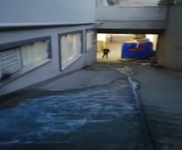 esenyurtta-mavi-su-bu-defa-sokaklara-akti-mahalleli-sokak-kopeklerinin-olmesine-isyan-etti-1622277217493.jpg Esenyurt'ta mavi su bu defa sokaklara aktı! Mahalleli sokak köpeklerinin ölmesine isyan etti-9