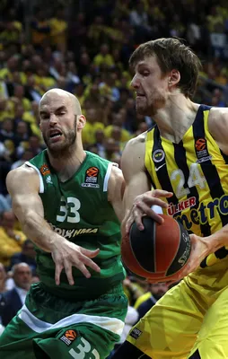 Fenerbahçe Final Four'a yükseldi