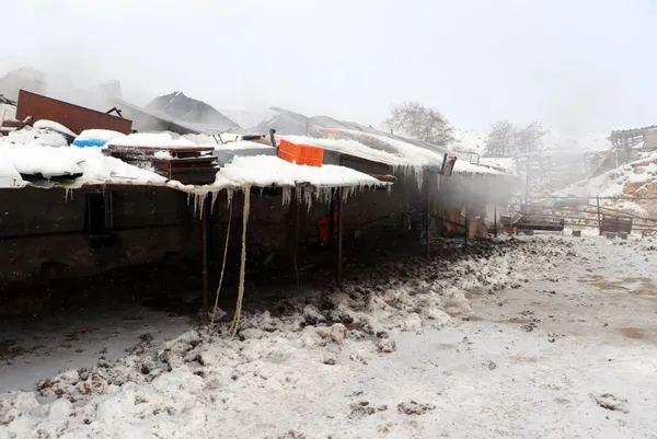 eskisehirde-turgutlar-mahallesinde-agilda-cikan-yangin-3-saatte-sonduruldu-50-hayvan-telef-oldu-800-bin-lira-z-1643191274806.jpg Eskişehir'de Turgutlar Mahallesi'nde ağılda çıkan yangın 3 saatte söndürüldü! 50 hayvan telef oldu 800 bin lira zarar-16