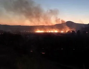 Ankara Nallıhan’da yangın!