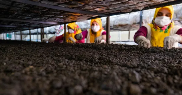 Konya'da üretiliyor! 30 kadın çalışıyor! Aylık tam 40 bin lira gelir!