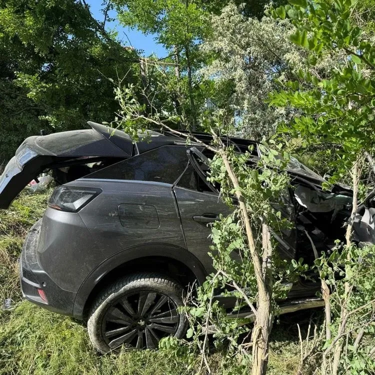 Kontrolden çıkan otomobil ağaçlık alana uçtu!