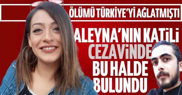 SON DAKİKA: Aleyna Yurtkölesi’ni öldüren İran uyruklu Shayan Kheyrian intihar etti