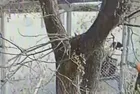 Kız öğrenciyi kalçasından bıçaklayıp böyle gasp etti! Saldırgan yakalandı