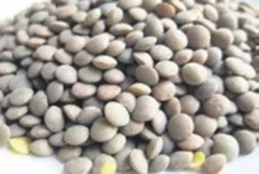 Kanserle savaşan kırmızı mercimeğin yararları nelerdir?