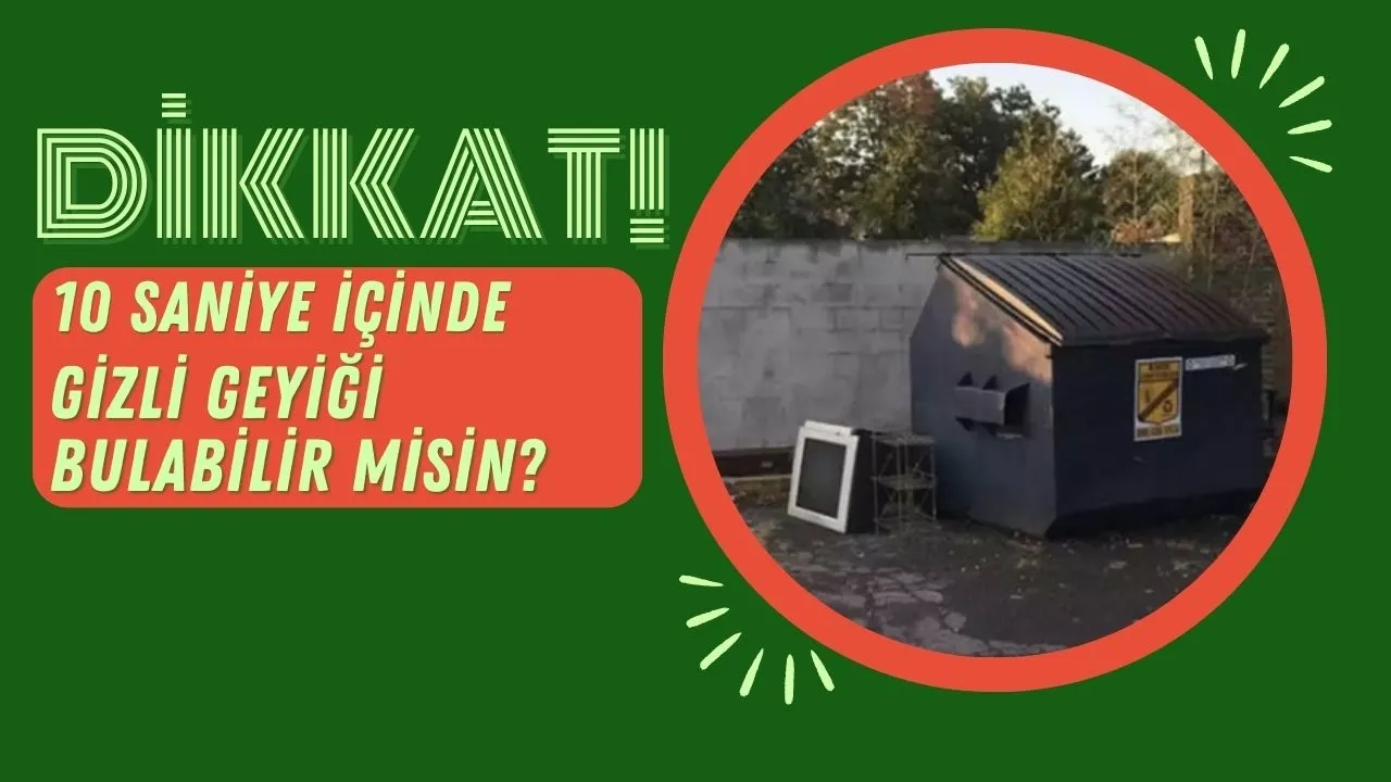Zeka testi: 10 saniyede arka bahçede gizlenmiş geyiği bulabilir misin? 580 kişi denedi, 15'i başarılı oldu - 1