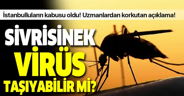 Uzmanlardan korkutan açıklama! Sivrisinekler koronavirüs taşıyabilir mi?-1