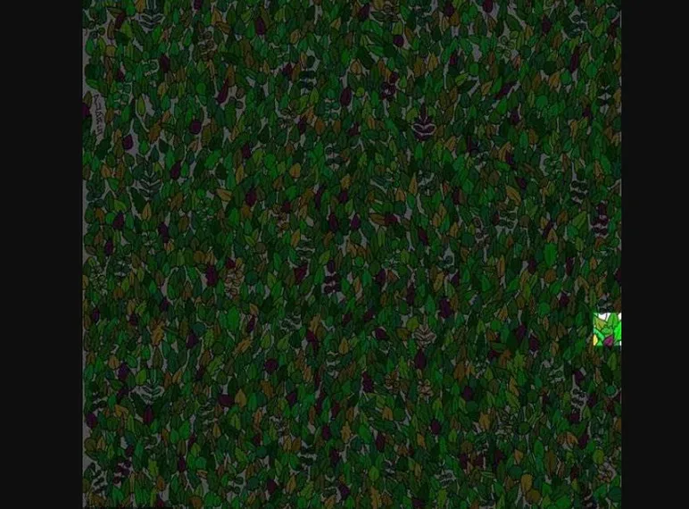 resimdeki-kurbagayi-bulabilir-misin-1000-kisiden-999u-bulamadi-1724761005900.jpg Resimdeki kurbağayı bulabilir misin? 1000 kişiden 999'u bulamadı-4