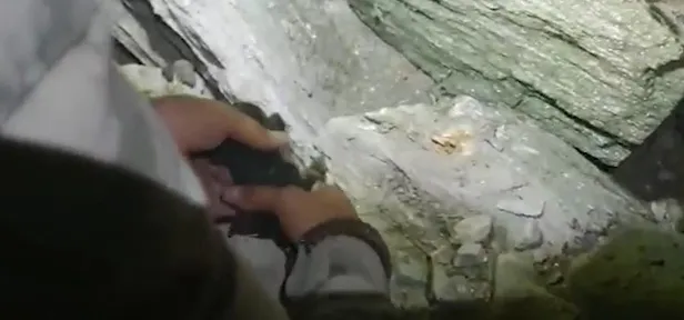 Jandarma'dan yangın bölgesinde duygulandıran operasyon: Bağlı olduğu için yavrularını besleyemeyen köpek kurtarıldı-1