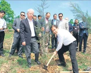 İSPARK’ta fişler fidana dönüyor