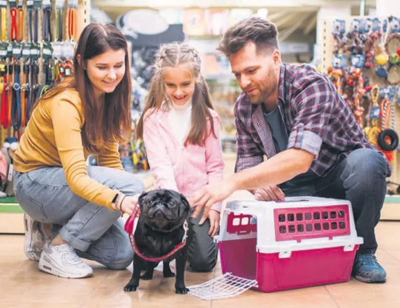 Kasaplar Federasyonu Başkanı petshopların Kasaplar Odası’na bağlanması ile ilgili açıklamalarda bulundu