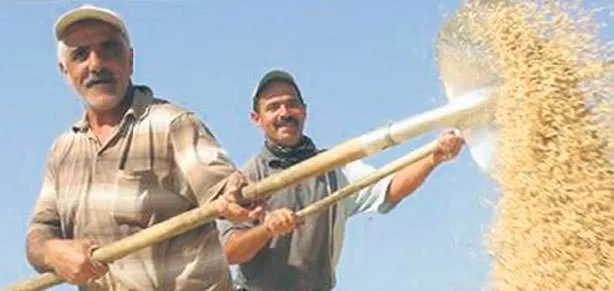Çiftçi sevinecek
