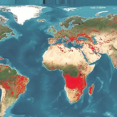 Dünya yangın haritası ürkütüyor!
