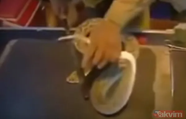 Sadece tek bir damlası kanı hale getirmeye yetti! 55 milyonluk yılan deneyi tehlikenin kanıtı - 10