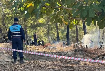 Hava aracı ormanlık alana düştü