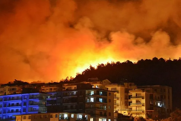 İzmir'de otluk alanda yangın çıktı! 1 kişi gözaltında-3