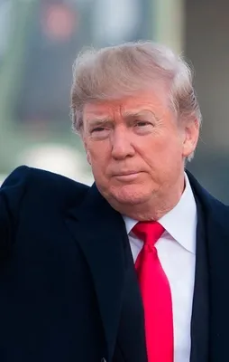 Üst düzey DEAŞ üyesi Sakarya'da yakalandı