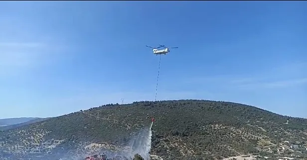 İzmir, Foça'da korkutan yangın! Havadan karadan zorlu mücadele: Kontrol altına alındı
