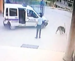 İnsanlığa kurşun