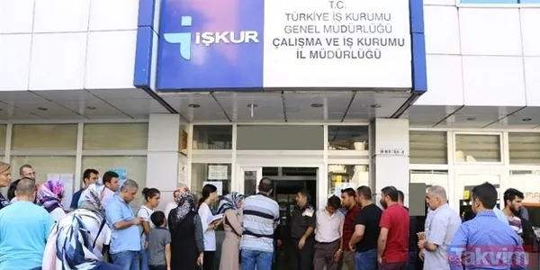 2527 Sayılı Türk Soylu Yabancıların Türkiye'de Meslek Ve Sanatlarını Serbestçe Yapabilmelerine, Kamu, Özel Kuruluş Veya İşyerlerinde Çalıştırılabilmelerine...