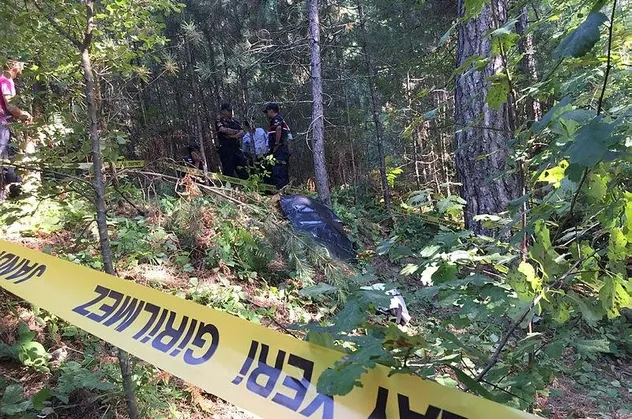 Zonguldak'ta ayı saldırısına uğrayan kişi öldü