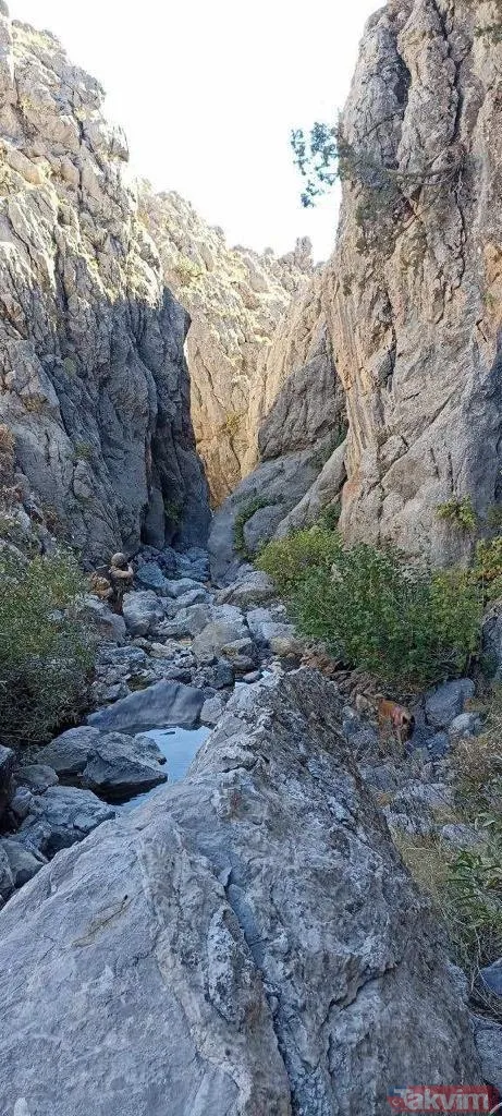 SON DAKİKA: Eren Abluka Sonbahar Kış-10 Şehit Uzman Jandarma Çavuş Mustafa Bozkurt operasyonu başladı! 460 personel katılıyor - 9