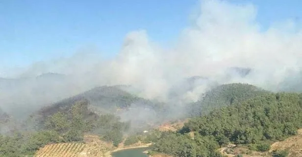 İzmir’de Seferihisar’da orman yangını