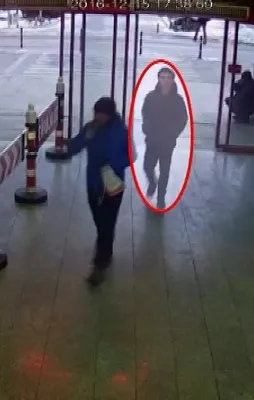 Terörist 'yalnız Kurt' timinden iddiası