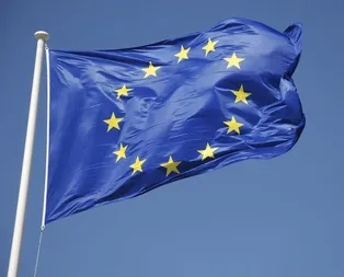 AB’de ’Afrika domuz vebası’ alarmı