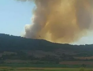 Bir yangın da o ilimizde! Kabus gibi görüntüler