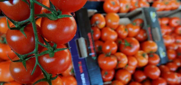 50’nin ilacı domates