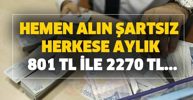 İşte başvuru detayları!Hemen alın şartsız herkese aylık 801 TL ile 2270 TL maddi yardım müjdesi...