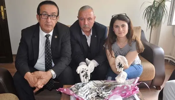 İnegöl'de türü belirlenemeyen böcek-2