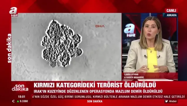Kırmızı bültenle aranan PKK'lı terörist Mazlum Demir, MİT ve TSK'ının ortak operasyonuyla Irak'ta etkisiz hale getirildi
