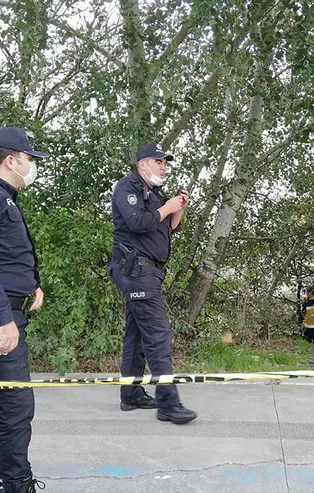 İstanbul'da korkunç vahşet! Ağaçlık alanda bulundu