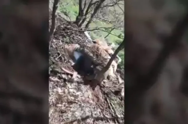MSB duyurdu! PKK'ya ağır darbe! Çok sayıda silah ve mühimmat ele geçirildi!